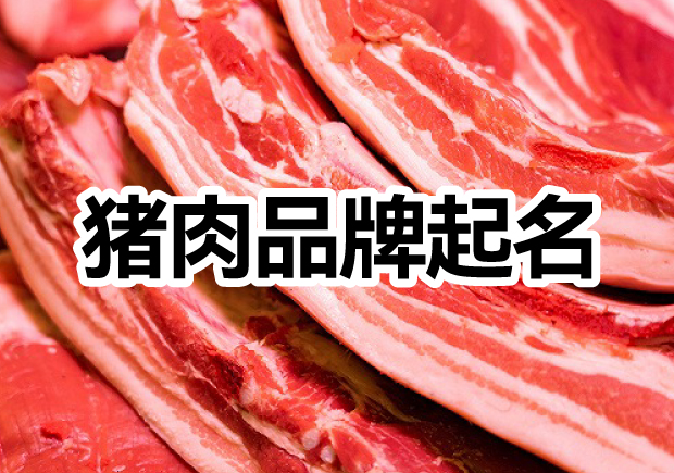 肉食新篇章：探索豬肉品牌取名的創(chuàng)意與市場洞察